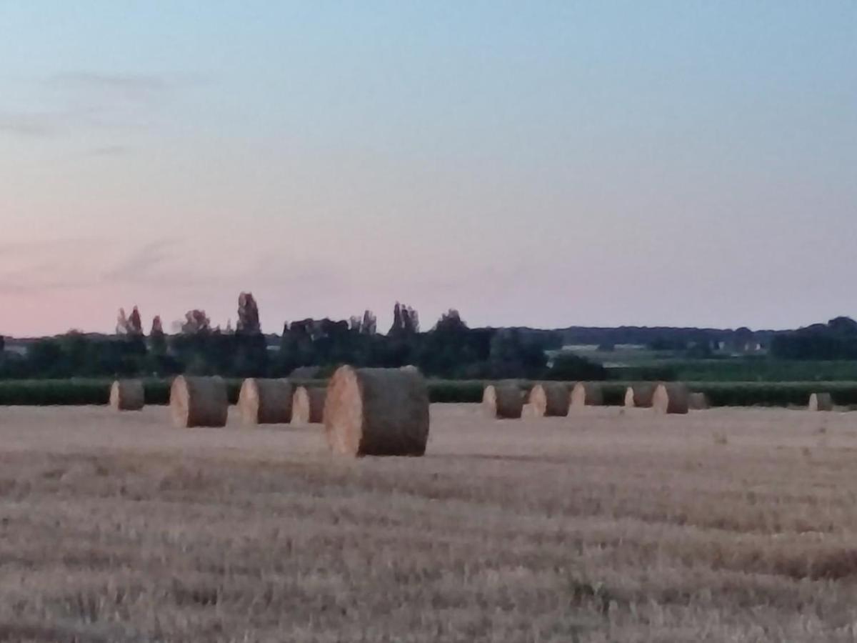 Gite Chez Jeannot Azay-le-Ferron Exteriér fotografie